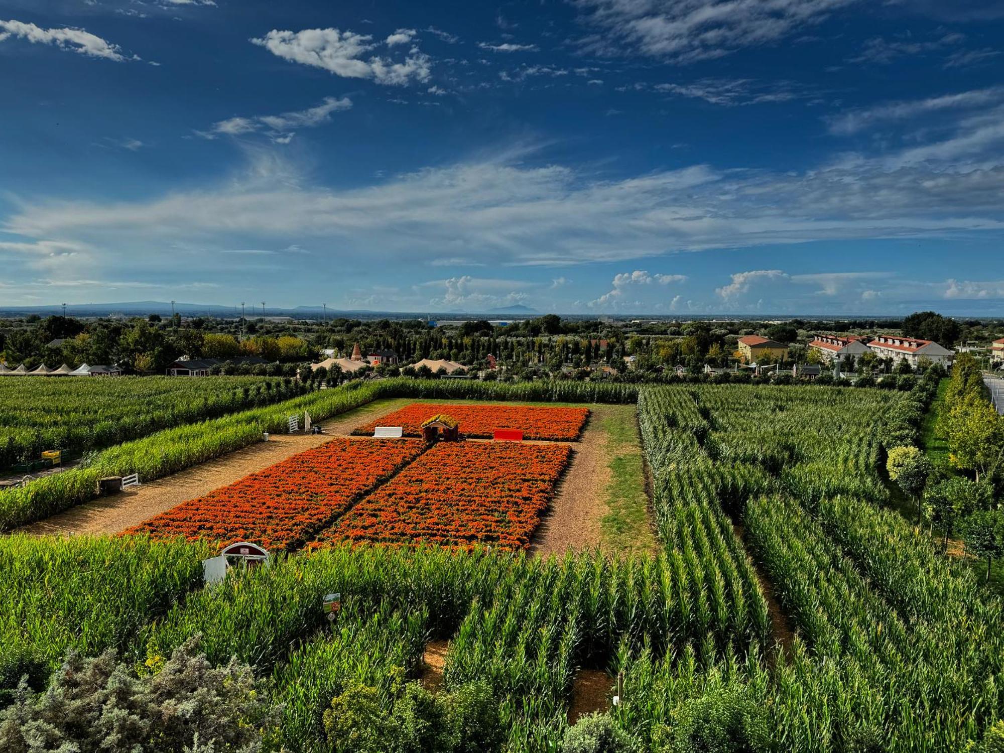 Appartamento La Rondine Pignataro Maggiore Exterior foto